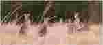 2002-05-11.015928